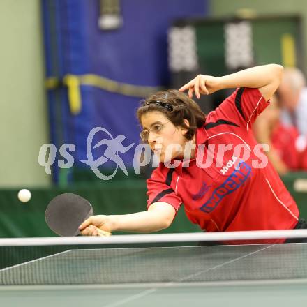 Tischtennis. Bundesliga. TTC Villacher. SOLJA Amelie. Villach, 13.12.2013.
Foto: Kuess
---
pressefotos, pressefotografie, kuess, qs, qspictures, sport, bild, bilder, bilddatenbank