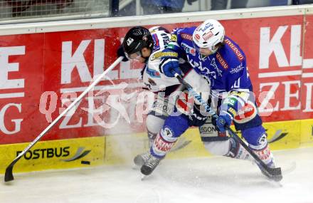 EBEL. Eishockey Bundesliga. EC VSV gegen SAPA Fehervar AV19. Brock McBride,  (VSV), Attila Orban (Alba Volan). Villach, am 17.12.2013.
Foto: Kuess 


---
pressefotos, pressefotografie, kuess, qs, qspictures, sport, bild, bilder, bilddatenbank