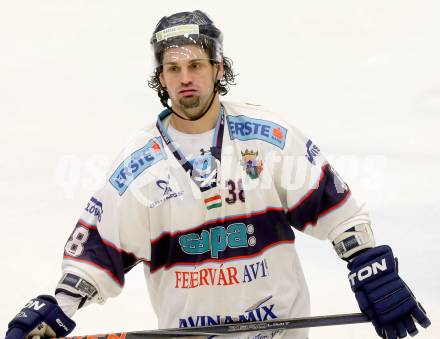 EBEL. Eishockey Bundesliga. EC VSV gegen SAPA Fehervar AV19. Frank Banham (Alba Volan). Villach, am 17.12.2013.
Foto: Kuess 


---
pressefotos, pressefotografie, kuess, qs, qspictures, sport, bild, bilder, bilddatenbank