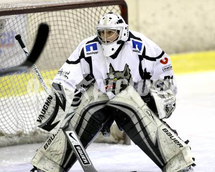 Eishockey. Kaerntner Liga Division I. Tarco Woelfe gegen 1. EHC Althofen. Manuel Pernutsch (Tarco). Klagenfurt, 26.12.2013.
Foto: Kuess
---
pressefotos, pressefotografie, kuess, qs, qspictures, sport, bild, bilder, bilddatenbank