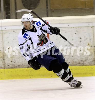 Eishockey. Kaerntner Liga Division I. Tarco Woelfe gegen 1. EHC Althofen. Torjubel Andreas Muschlin (Tarco). Klagenfurt, 26.12.2013.
Foto: Kuess
---
pressefotos, pressefotografie, kuess, qs, qspictures, sport, bild, bilder, bilddatenbank