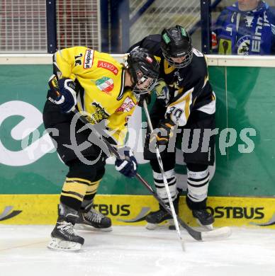 Eishockey Frauen. DEBL. EHC Gipsy Girls gegen EHV Sabres Wien. Barbara Windbichler,  (Gipsy Girls), Antonia Hatzka (Sabres). Villach, am 26.1.2014.
Foto: Kuess
---
pressefotos, pressefotografie, kuess, qs, qspictures, sport, bild, bilder, bilddatenbank