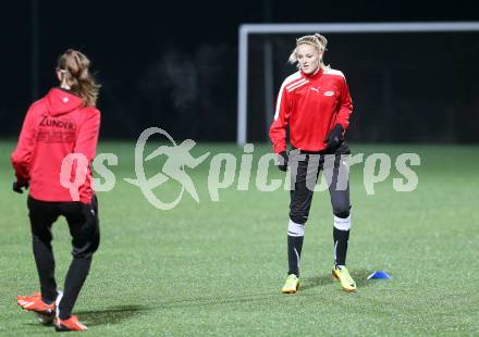 Fussball. U17 Nationalteam. Frauenfussball. Carinthians Soccer Women. Jasmin Michelle Ortner. Glanegg, 15.11.2013.
Foto: Kuess
---
pressefotos, pressefotografie, kuess, qs, qspictures, sport, bild, bilder, bilddatenbank