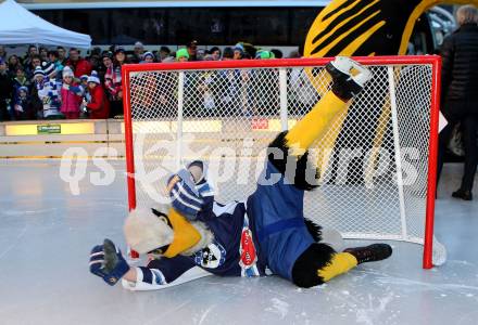 EBEL. Eishockey Bundesliga. Showtraining VSV am Rathausplatz in Villach.  Maskottchen Villi. Villach, am 21.2.2014.
Foto: Kuess 


---
pressefotos, pressefotografie, kuess, qs, qspictures, sport, bild, bilder, bilddatenbank