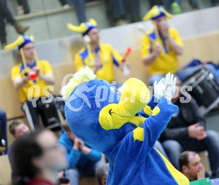 Volleyball MEVZA. Final Four. Finale. SK Aich/Dob gegen ACH Volley Ljubljana. Fans (Aich/Dob). Bleiburg, 12.3.2014. 
Foto: Kuess
---
pressefotos, pressefotografie, kuess, qs, qspictures, sport, bild, bilder, bilddatenbank