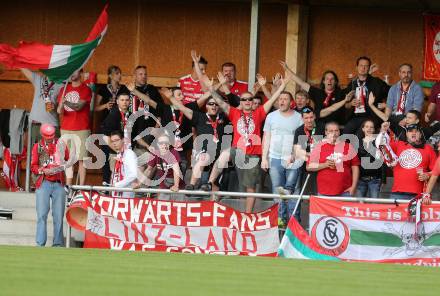 Fussball Regionalliga. SAK gegen Vorwaerts Steyr.  Fans  (Steyr). Welzenegg, am 23.5.2014.
Foto: Kuess
---
pressefotos, pressefotografie, kuess, qs, qspictures, sport, bild, bilder, bilddatenbank