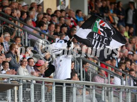 Fussball Bundesliga. RZ Pellets WAC gegen SC Wiener Neustadt. Maskottchen, Fans. Wolfsberg, am 30.8.2014.
Foto: Kuess

---
pressefotos, pressefotografie, kuess, qs, qspictures, sport, bild, bilder, bilddatenbank