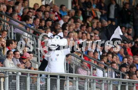 Fussball Bundesliga. RZ Pellets WAC gegen SC Wiener Neustadt. Fans, Maskottchen. Wolfsberg, am 30.8.2014.
Foto: Kuess

---
pressefotos, pressefotografie, kuess, qs, qspictures, sport, bild, bilder, bilddatenbank