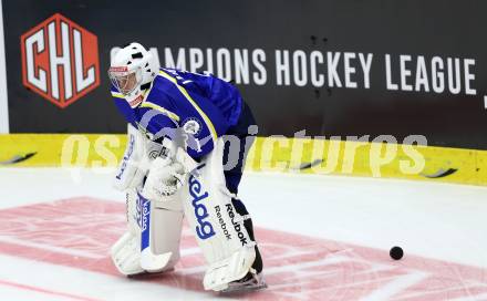 Eishockey. Champions Hockey League VSV gegen Geneve-Servette. Jean Philippe Lamoureux (VSV). Villach, 23.9.2014.
Foto: Kuess 
---
pressefotos, pressefotografie, kuess, qs, qspictures, sport, bild, bilder, bilddatenbank