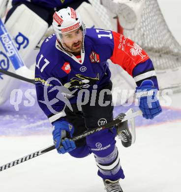 Eishockey. Champions Hockey League VSV gegen Geneve-Servette. Sean Ringrose (VSV). Villach, 23.9.2014.
Foto: Kuess 
---
pressefotos, pressefotografie, kuess, qs, qspictures, sport, bild, bilder, bilddatenbank