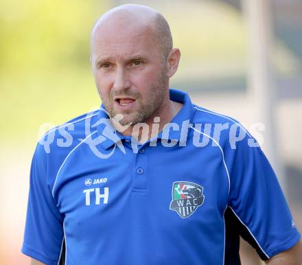 Fussball Regionalliga. RZ Pelets WAC Amateure gegen Vorwaerts Steyr.  Trainer Harald Tatschl (WAC). Wolfsberg, am 28.9.2014.
Foto: Kuess
---
pressefotos, pressefotografie, kuess, qs, qspictures, sport, bild, bilder, bilddatenbank