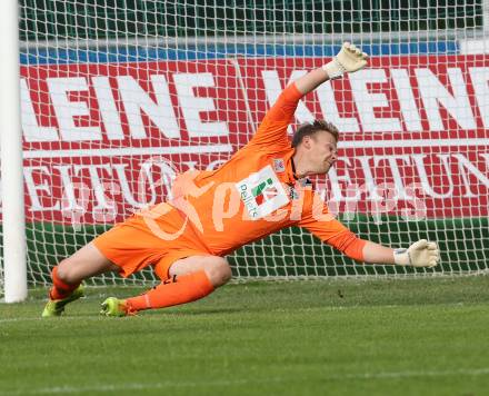 Fussball Regionalliga. RZ Pellets WAC Amateure gegen SK Austria Klagenfurt. Markus Glaenzer (WAC). Wolfsberg, am 5.10.2014.
Foto: Kuess
---
pressefotos, pressefotografie, kuess, qs, qspictures, sport, bild, bilder, bilddatenbank