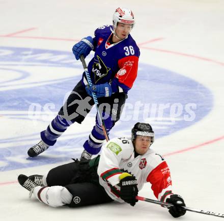 Eishockey. Champions Hockey League VSV gegen Froelunda Gothenburg. Marco Pewal #36,  (VSV), Anton Axelsson #16 (Froelunda Gothenburg). Villach, 7.10.2014.
Foto: Kuess 
---
pressefotos, pressefotografie, kuess, qs, qspictures, sport, bild, bilder, bilddatenbank