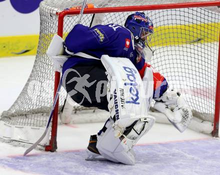 Eishockey. Champions Hockey League VSV gegen Froelunda Gothenburg. Thomas Hoeneckl #31 (VSV). Villach, 7.10.2014.
Foto: Kuess 
---
pressefotos, pressefotografie, kuess, qs, qspictures, sport, bild, bilder, bilddatenbank