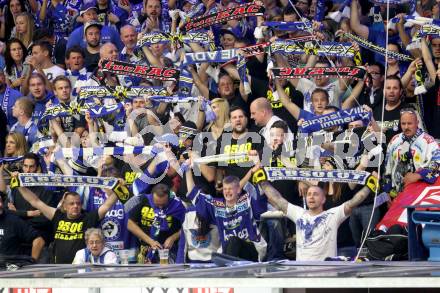 EBEL. Eishockey Bundesliga. EC VSV gegen KAC. Fans (VSV). Villach, am 12.10.2014.
Foto: Kuess 


---
pressefotos, pressefotografie, kuess, qs, qspictures, sport, bild, bilder, bilddatenbank