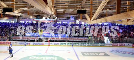 EBEL. Eishockey Bundesliga. EC VSV gegen KAC. Fans (VSV). Villach, am 12.10.2014.
Foto: Kuess 


---
pressefotos, pressefotografie, kuess, qs, qspictures, sport, bild, bilder, bilddatenbank