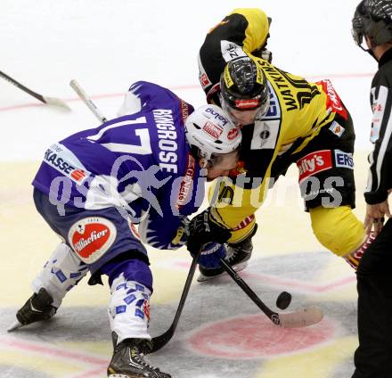 EBEL. Eishockey Bundesliga. EC VSV gegen UPC Vienna Capitals. Sean Ringrose, (VSV), Matt Watkins (Caps). Villach, am 19.10.2014.
Foto: Kuess 


---
pressefotos, pressefotografie, kuess, qs, qspictures, sport, bild, bilder, bilddatenbank