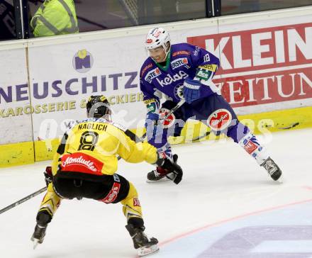 EBEL. Eishockey Bundesliga. EC VSV gegen UPC Vienna Capitals. Jason Krog, (VSV), Adam Naglich (Caps). Villach, am 19.10.2014.
Foto: Kuess 


---
pressefotos, pressefotografie, kuess, qs, qspictures, sport, bild, bilder, bilddatenbank