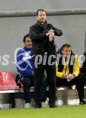 Fussball Bundesliga. RZ Pellets WAC gegen SK Puntigamer Sturm Graz. Trainer Franco Foda (Graz). Klagenfiurt, am 8.11.2014.
Foto: Kuess

---
pressefotos, pressefotografie, kuess, qs, qspictures, sport, bild, bilder, bilddatenbank