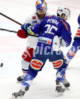 EBEL. Eishockey Bundesliga. EC VSV gegen EC Red Bull Salzburg. Marco Pewal,  (VSV), Troy Milam (Salzburg). Villach, am 9.1.2015.
Foto: Kuess 


---
pressefotos, pressefotografie, kuess, qs, qspictures, sport, bild, bilder, bilddatenbank