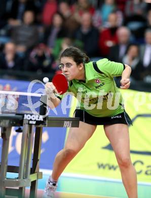 Tischtennis. Champions League. TTC Carinthia Winds Villach gegen TMK TAGMT (RUS). Amelie Solja, (TTC Villacher). Klagenfurt, am 21.1.2015.
Foto: Kuess
---
pressefotos, pressefotografie, kuess, qs, qspictures, sport, bild, bilder, bilddatenbank