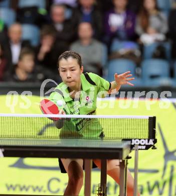 Tischtennis. Europacup. TTC Carinthia Winds Villach gegen TMK TAGMT (RUS). Li Quiangbing, (TTC Villacher). Klagenfurt, am 21.1.2015.
Foto: Kuess
---
pressefotos, pressefotografie, kuess, qs, qspictures, sport, bild, bilder, bilddatenbank