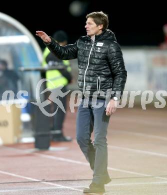 Fussball Bundesliga. RZ Pellets WAC gegen SV Josko Ried. Trainer Oliver Glasner (Ried). Wolfsberg, am 4.3.2015.
Foto: Kuess

---
pressefotos, pressefotografie, kuess, qs, qspictures, sport, bild, bilder, bilddatenbank