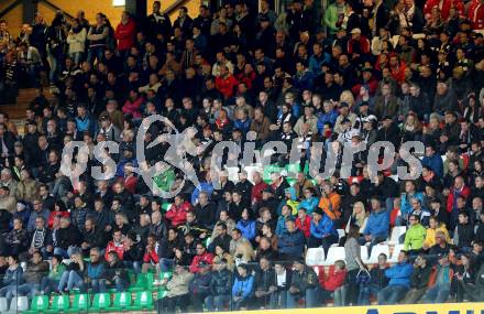 Fussball OEFB Cup. RZ Pellets WAC gegen FK Austria Wien. Fans. Wolfsberg, am 29.4.2015.
Foto: Kuess

---
pressefotos, pressefotografie, kuess, qs, qspictures, sport, bild, bilder, bilddatenbank