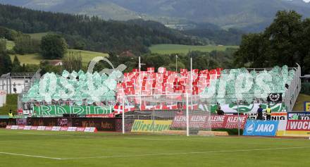 Fussball BUndesliga. RZ Pellets WAC gegen SK Rapid Wien. Fans (Rapid). Wolfsberg, am 31.5.2015.
Foto: Kuess

---
pressefotos, pressefotografie, kuess, qs, qspictures, sport, bild, bilder, bilddatenbank