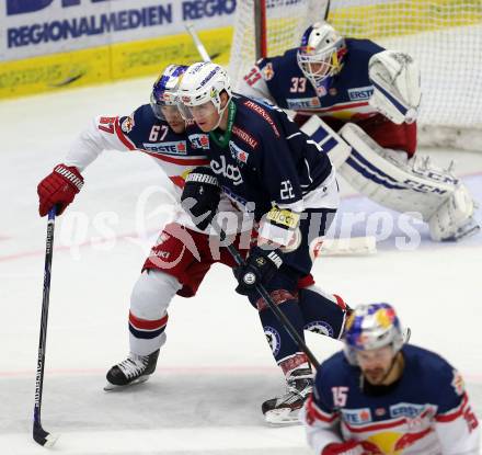 EBEL. Eishockey Bundesliga. EC VSV gegen EC Red Bull Salzburg. Adis Alagic,  (VSV), Konstantin Komarek (Salzburg). Villach, am 27.9.2015.
Foto: Kuess 


---
pressefotos, pressefotografie, kuess, qs, qspictures, sport, bild, bilder, bilddatenbank