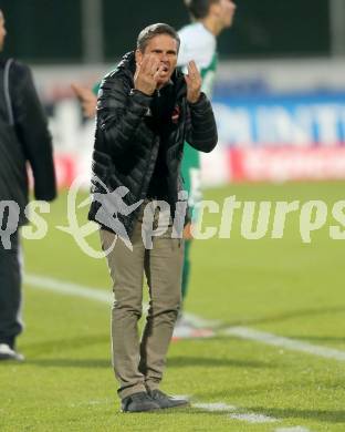 Fussball tipico Bundesliga. RZ Pellets WAC gegen SV Mattersburg. Trainer Dietmar Kuehbauer (WAC). Wolfsberg, am 7.11.2015.
Foto: Kuess
---
pressefotos, pressefotografie, kuess, qs, qspictures, sport, bild, bilder, bilddatenbank