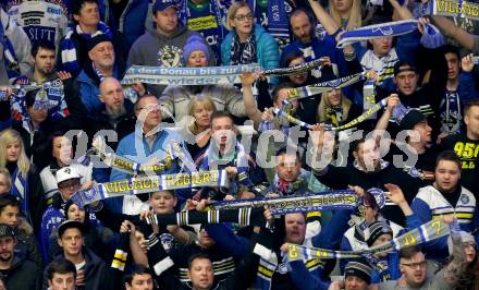 EBEL. Eishockey Bundesliga. EC VSV gegen UPC Vienna Capitals. Fans (VSV). Villach, am 28.2.2016.
Foto: Kuess 


---
pressefotos, pressefotografie, kuess, qs, qspictures, sport, bild, bilder, bilddatenbank