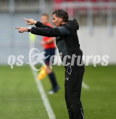 Fussball Sky Go Erste Liga. SK Austria KLagenfurt gegen Austria Salzburg.  Trainer Gerald Baumgartner (Salzburg). KLagenfurt, am 22.4.2016. 
Foto: Kuess
---
pressefotos, pressefotografie, kuess, qs, qspictures, sport, bild, bilder, bilddatenbank