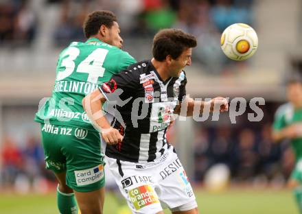 Fussball tipico Bundesliga. RZ Pellets WAC gegen SK Rapid Wien. Joachim Standfest,  (WAC), Apolinaro De Lira Joelinton Cassio (Rapid). Lavanttal Arena Wolfsberg, am 21.8.2016.
Foto: Kuess
---
pressefotos, pressefotografie, kuess, qs, qspictures, sport, bild, bilder, bilddatenbank