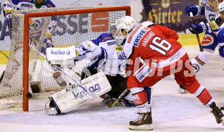 EBEL. Eishockey Bundesliga. KAC gegen VSV. Patrick Harand, (KAC), Lukas Herzog  (VSV). Klagenfurt, am 16.10.2016.
Foto: Kuess

---
pressefotos, pressefotografie, kuess, qs, qspictures, sport, bild, bilder, bilddatenbank