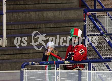 EBEL. Eishockey Bundesliga. VSV gegen	Fehervar AV 19. Fans (Fehervar). Villach, am 30.10.2016.
Foto: Kuess

---
pressefotos, pressefotografie, kuess, qs, qspictures, sport, bild, bilder, bilddatenbank