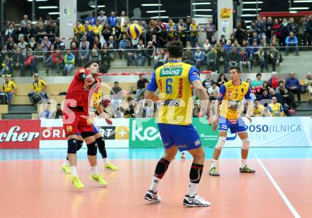 Volleyball Bundesliga. SK Posojilnica Aich/Dob gegen Hypo Tirol. Martin Nicolas Weber (Aich/Dob). Bleiburg, 1.12.2016.
Foto: Kuess 
---
pressefotos, pressefotografie, kuess, qs, qspictures, sport, bild, bilder, bilddatenbank