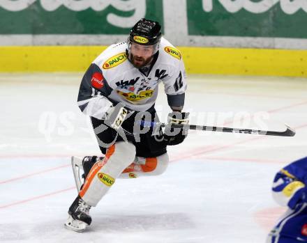 EBEL. Eishockey Bundesliga. VSV gegen	Dornbirner Eishockey Club. Nikolas Petrik (Dornbirn). Villach, am 27.1.2017.
Foto: Kuess

---
pressefotos, pressefotografie, kuess, qs, qspictures, sport, bild, bilder, bilddatenbank