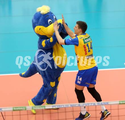 AVL. DenizBank AG Volley League Men. Finale. SK Posojilnica Aich/Dob gegen Hypo Tirol VT. Maskottchen, Anestis Dalakouras (Aich Dob). Bleiburg, am 6.4.2017.
Foto: Kuess
---
pressefotos, pressefotografie, kuess, qs, qspictures, sport, bild, bilder, bilddatenbank