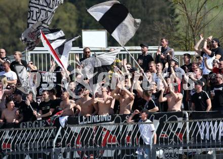 Fussball tipico Bundesliga. RZ Pellets WAC gegen LASK.  Fans (LASK). Wolfsberg, am 23.2.2019.
Foto: Kuess

---
pressefotos, pressefotografie, kuess, qs, qspictures, sport, bild, bilder, bilddatenbank