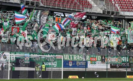 Fussball. Bundesliga. SK Austria Klagenfurt gegen  SK Rapid.  Fans (SK Rapid). Klagenfurt, am 16.10.2021.
Foto: Kuess
www.qspictures.net
---
pressefotos, pressefotografie, kuess, qs, qspictures, sport, bild, bilder, bilddatenbank