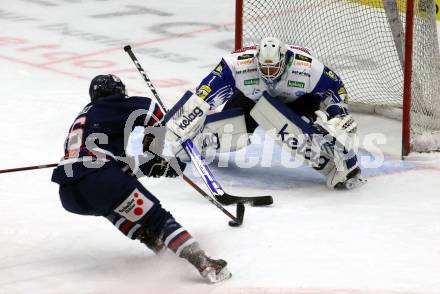 EBEL. Eishockey Bundesliga. VSV gegen Fehervar AV19. Andreas Bernard,   (VSV),  Janos Hari (Fehervar AV19). Villach, am 26.10.2021.
Foto: Kuess
www.qspictures.net
---
pressefotos, pressefotografie, kuess, qs, qspictures, sport, bild, bilder, bilddatenbank