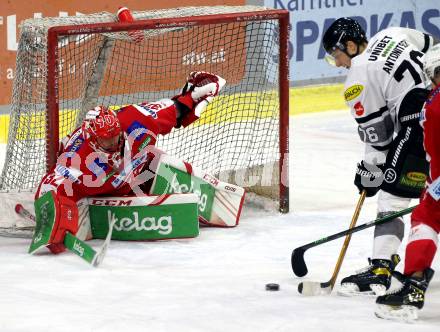 EBEL. Eishockey Bundesliga. KAC gegen	Dornbirn Bulldogs. Sebastian Dahm (KAC), Sam Antonitsch (Dornbirn Bulldogs). Klagenfurt, am 28.1.2022.
Foto: Kuess
www.qspictures.net

---
pressefotos, pressefotografie, kuess, qs, qspictures, sport, bild, bilder, bilddatenbank