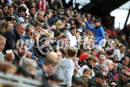 Fussball Bundesliga. SK Austria Klagenfurt gegen Red Bull Salzburg.   Fans (Klagenfurt). Klagenfurt, am 10.4.2022.
Foto: Kuess
---
pressefotos, pressefotografie, kuess, qs, qspictures, sport, bild, bilder, bilddatenbank