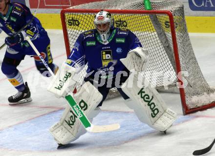 EBEL. Eishockey Bundesliga. VSV gegen HC Pustertal Woelfe. Jean Philippe Lamoureux  (VSV). Villach, am 14.10.2022.
Foto: Kuess
www.qspictures.net
---
pressefotos, pressefotografie, kuess, qs, qspictures, sport, bild, bilder, bilddatenbank