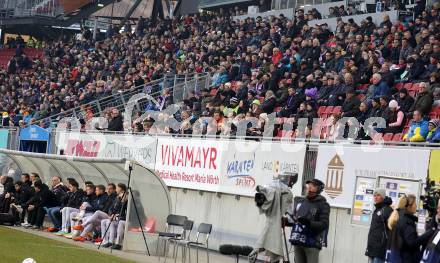 Fussball Bundesliga. SK Austria Klagenfurt gegen RZ Pellets WAC.   Fans (Klagenfurt). Klagenfurt, am 18.2.2023.
Foto: Kuess
---
pressefotos, pressefotografie, kuess, qs, qspictures, sport, bild, bilder, bilddatenbank