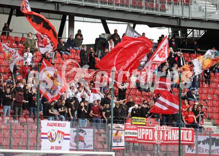 Fussball Bundesliga. SK Austria Klagenfurt gegen Salzburg.  Fans (Salzburg).  Klagenfurt, am 2.4.2023.
Foto: Kuess
---
pressefotos, pressefotografie, kuess, qs, qspictures, sport, bild, bilder, bilddatenbank