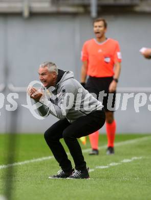 Fussball Bundesliga. SK Austria Klagenfurt gegen SC Austria Lustenau.   Trainer Peter Pacult (Klagenfurt).  Klagenfurt, am 23.9.2023.
Foto: Kuess
---
pressefotos, pressefotografie, kuess, qs, qspictures, sport, bild, bilder, bilddatenbank