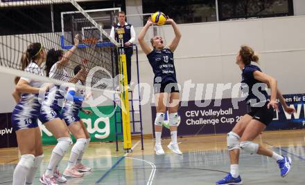 Volleyball. CEV Volleyball Challenge Cup 2024  Women. ATSC Wildcats gegen ZOK UB (SRB).     HOLZINGER Nicole (Wildcats). Klagenfurt, am 11.10.2023.
Foto: Kuess
www.qspictures.net
---
pressefotos, pressefotografie, kuess, qs, qspictures, sport, bild, bilder, bilddatenbank