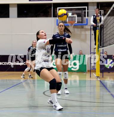 Volleyball. CEV Volleyball Challenge Cup 2024  Women. ATSC Wildcats gegen ZOK UB (SRB).     BIER Julia (Wildcats). Klagenfurt, am 11.10.2023.
Foto: Kuess
www.qspictures.net
---
pressefotos, pressefotografie, kuess, qs, qspictures, sport, bild, bilder, bilddatenbank